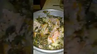 Витя Митя - Золотая Рыбка