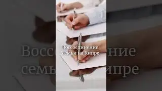 Воссоединение семьи на Кипре. Полное видео уже на нашем канале.