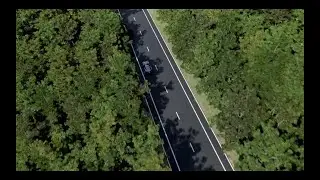 NA17D | Forest - UE4.26