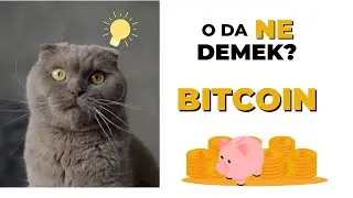 Bitcoin,Defi,NFT,Blokzinciri, Gaz Ücreti vb. Hepsini Öğren. Token Dünyasının dışında Kalma-Tanıtım