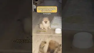 Такая растерянная🥺 