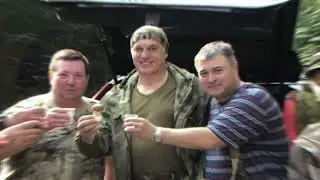 грибы 2022