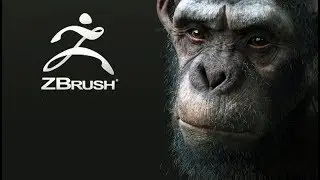 Zbrush + Keyshot * Fibemesh * Timelapse modeling Chimp
