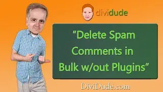 Delete Bulk Spam WordPress Comments In Cloudways without Plugins