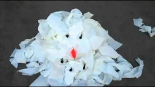 Getting TP'd