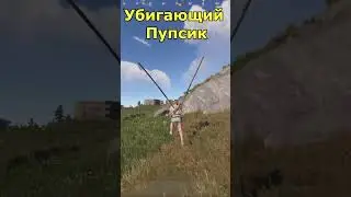 Привет пупски в #раст #rust #inside #kappa #shorts