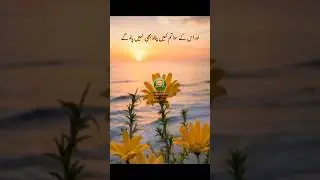 Allah ki batun ko koi badlne wala nahi |Surah Al kahaf Ayat 27-28| #dailykalam  #youtubeshorts