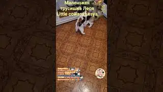 Маленькая трусишка Леся. Little coward Lesya.