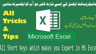 MS Excel - Speak Cells.