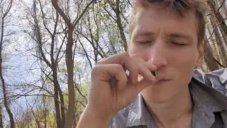 Пол страны, ради запаха крапивы.
