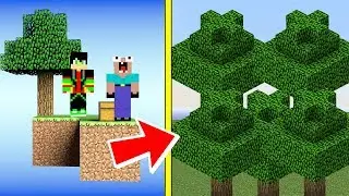 ВЫЖИВАНИЕ НА СКАЙБЛОКЕ В МАЙНКРАФТ НУБ И ПРО ПОСТОРОИЛИ САД В  MINECRAFT