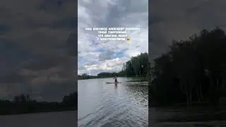 Сап-борды в аренду