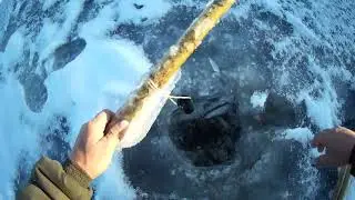 Первый лед открытие сезона 22 10 2023