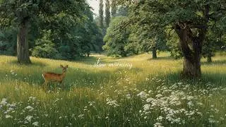 slow morning vibes ☀️ soft piano for reading, studying & calm focus