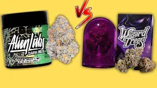Wizard Trees BLACK MAGIC vs Alien Labs DARK WEB