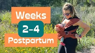Weeks 2 - 4 Postpartum