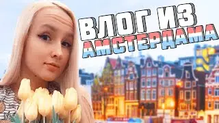 АМСТЕРДАМ VLOG ❤  ВЛОГ ВРЕДНУЛЯ