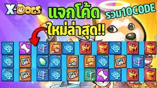X-Dogs สุนัขพันธุ์ฮีโร่ แจกโค้ดใหม่ล่าสุด!! รวม10โค้ด รีบกรอกครับ All Redeem 10 Code