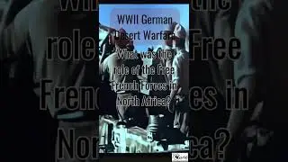 WWII German Desert Warfare - What was the role of the Free French Forces in North Africa?