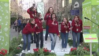 100 Phoenix acappella Project
