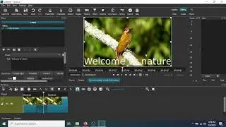 How To Add Text To A Video With Shotcut Video Editor Quick Easy And Free