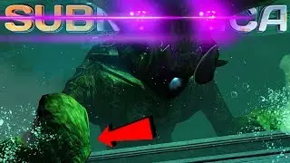 NEW SEA EMPEROR ANIMATIONS, Pipe Room, Cyclops, Texture Updates | SUBNAUTICA NEWS AND UPDATES