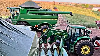 COLHEITA DO MILHO 2024 COMEÇOU 🌽🤠🙏🏼!!! EP 339