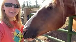 Let's Go! Ep: All About Animal Sanctuaries