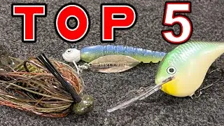Top 5 Baits For November Bass Fishing!