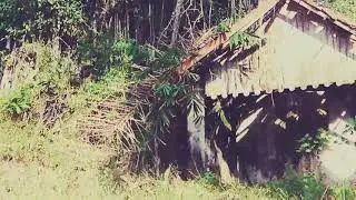 Rumah suku mante ternyata begini