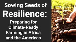 Sowing Seeds of Resilience Preparing for Climate-Ready Farming in Africa and the Americas