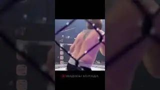 метро Люблино работаем vs Швед, Мурад комментирует бой #Shorts