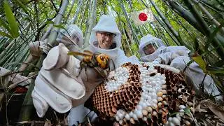 I Joined a Japanese Murder Hornet Hunt (Yes, They Can Kill You)