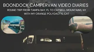 Boondocking Camper Van Cat 🐈  Adventures: Traveling from Clearwater, FL 🏝️ to Catskill  NY ⛰️