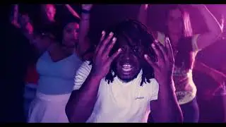 Party W The Dogs (Official Video)
