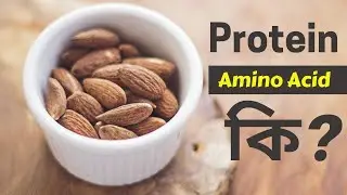 What is a Protein? | প্রোটিন কি? | Amino Acid
