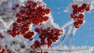 Антонио Вивальди. Зима.