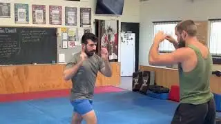 Learn how to fight | The Bear Training System |
