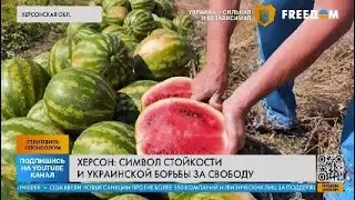 Херсон . До оккупации и после