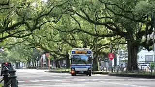 きょうのバスたち。2024年11月11日。