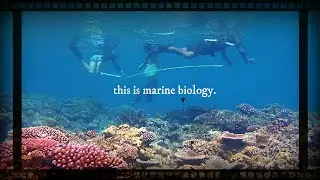 this is marine biology. | a short film | Kathleen Ryan Productions