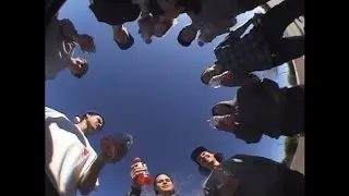Cody Bear's Video!