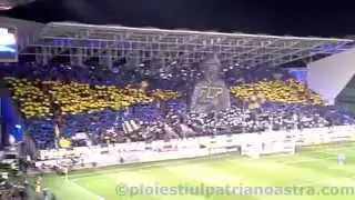 Petrolul - Dinamo 30.03.2014 HD