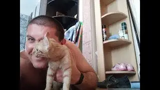 Завели домашнего питомца КОТИКА.....