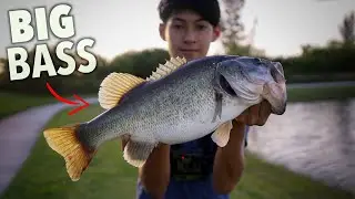 Catching BIG bass with BEGINNER fisherman!!!