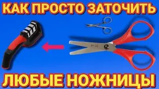 How to sharpen any scissors at home to razor sharpness