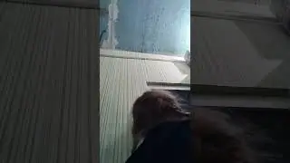 9 августа 2023 г.