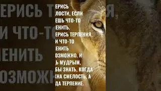 29 марта 2024 года, пятница,завтра суббота друзья 🙂🙂🙂#умныемысли#цитаты#логика