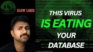 This Virus is Eating your Database | Slow Loris DDOS Attack in World