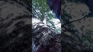 21 июня 2020 г.